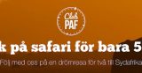Safari-time med Paf - vinn lyxresor
