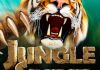 Jungle Spirit