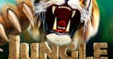 Jungle Spirit