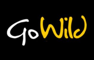 Gowild casino