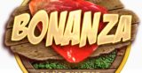 Bonanza slot